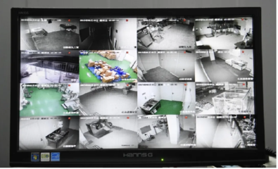 春芝堂 斩获欧洲食品业“头号门神”认证，其安全系统监控服务有多严苛？